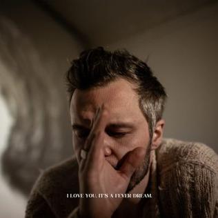 I Love You. It’s A Fever Dream. — The Tallest Man on Earth